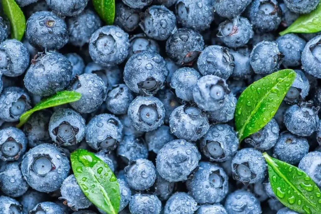أفضل أطعمة للصحة: 10 مكونات طبيعية تعزز طاقتك وتدعم جهازك المناعي