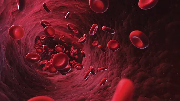 تعرف على طرق علاج فقر الدم
