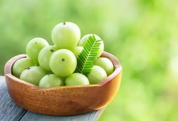 ثمار الأملا: فوائد صحية لا يجب تجاهلها