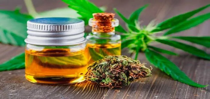 فوائد زيت القنب CBD