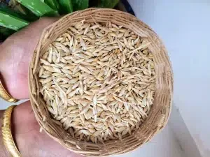 مقاومة الأنسولين: أفضل خمس حبوب يجب عليك تناولها لتحسين المقاومة - صورة 2