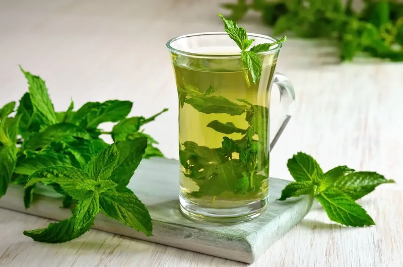 أبرز الفوائد لشاي النعناع قبل النوم - صورة 3