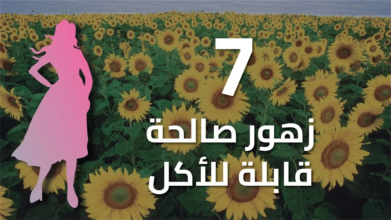 أطعمة تدعم صحة الكبد: دليل شامل لحياة صحية
