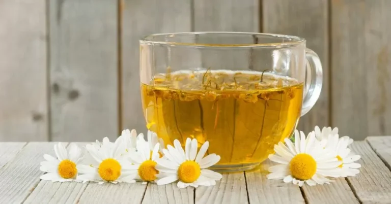 10 فوائد غذائية وصحية لشاي البابونج