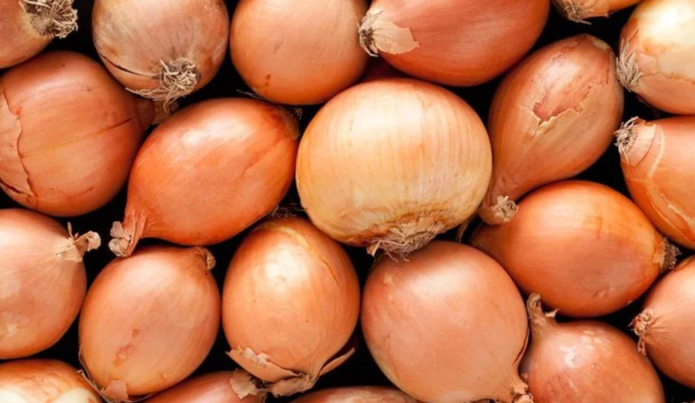 أبرز الفوائد السحرية لتناول البصل النيء
